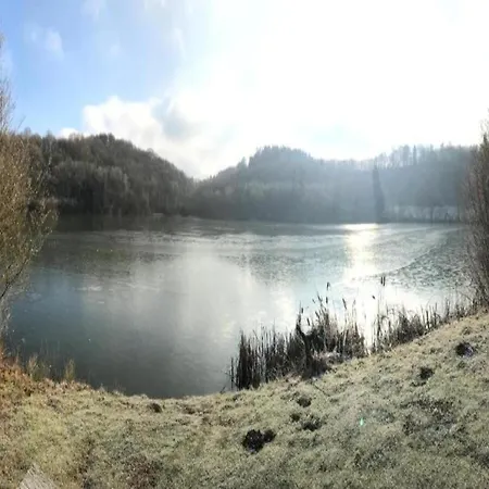 Forest Hideaway Casa vacanze Strotzbüsch
