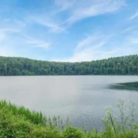 Forest Hideaway Strotzbüsch