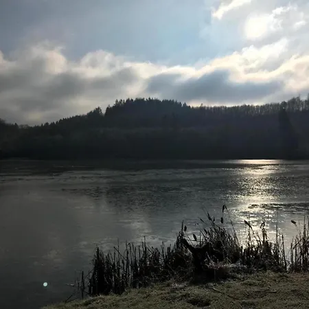 Casa vacanze Forest Hideaway