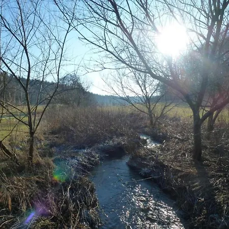 Casa vacanze Forest Hideaway *