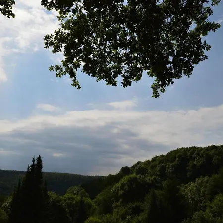 Forest Hideaway Strotzbüsch