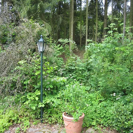 Forest Hideaway Casa vacanze Strotzbüsch